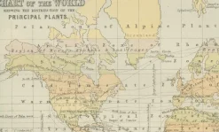 Pamono Antique Zoological and Botanical Chart of the World Decorative Map, 1884><noscript><img width=