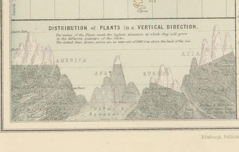 Pamono Antique Zoological and Botanical Chart of the World Decorative Map, 1884> Wall Decor