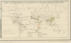 Pamono Antique Zoological and Botanical Chart of the World Decorative Map, 1884><noscript><img width=