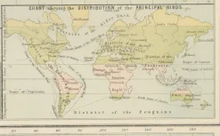 Pamono Antique Zoological and Botanical Chart of the World Decorative Map, 1884><noscript><img width=