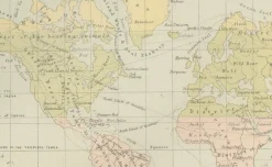 Pamono Antique Zoological and Botanical Chart of the World Decorative Map, 1884><noscript><img width=