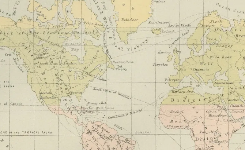 Pamono Antique Zoological and Botanical Chart of the World Decorative Map, 1884> Wall Decor