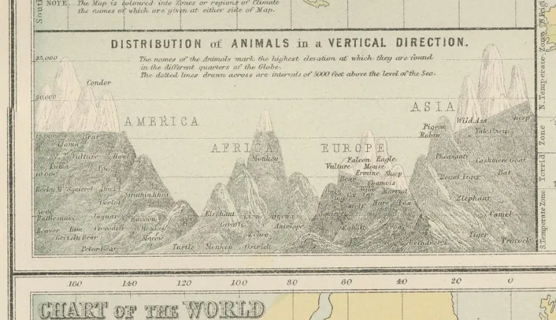 Pamono Antique Zoological and Botanical Chart of the World Decorative Map, 1884> Wall Decor