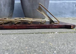 Pamono Art Deco Wall Mounted Magazine Rack, Germany, 1920s><noscript><img width=