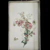New Pamono Art Nouveau Tray