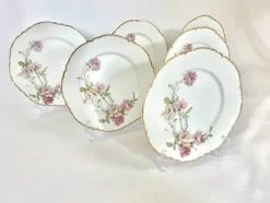 Pamono Baltimore Rose Dinner Plates from Haviland Limoges, 1888, Set of 6><noscript><img width=