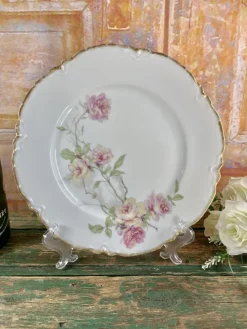 Pamono Baltimore Rose Dinner Plates from Haviland Limoges, 1888, Set of 6><noscript><img width=