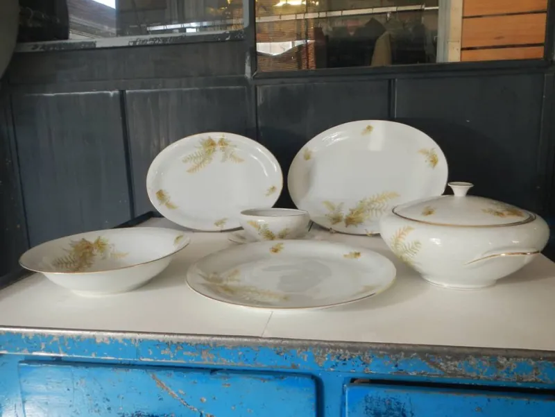 New Pamono BAVARIA Tirschenreuth Dinner Plate and Tureen Set, 1970s, Set of 6