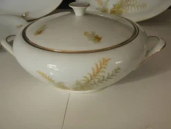 New Pamono BAVARIA Tirschenreuth Dinner Plate and Tureen Set, 1970s, Set of 6