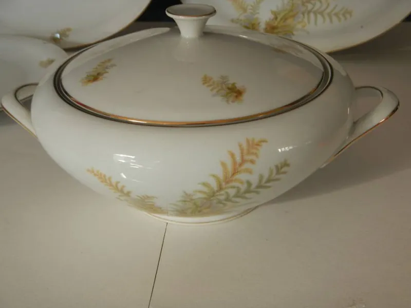 New Pamono BAVARIA Tirschenreuth Dinner Plate and Tureen Set, 1970s, Set of 6