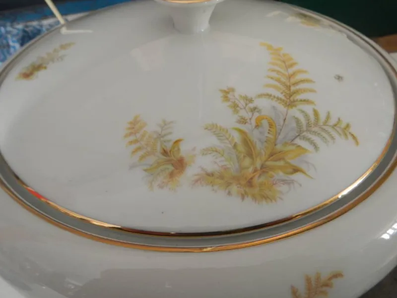 New Pamono BAVARIA Tirschenreuth Dinner Plate and Tureen Set, 1970s, Set of 6