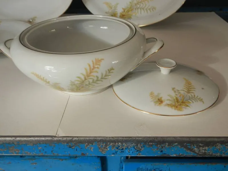 New Pamono BAVARIA Tirschenreuth Dinner Plate and Tureen Set, 1970s, Set of 6