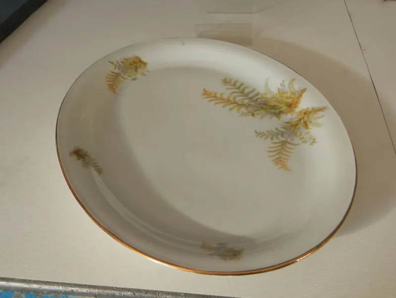New Pamono BAVARIA Tirschenreuth Dinner Plate and Tureen Set, 1970s, Set of 6