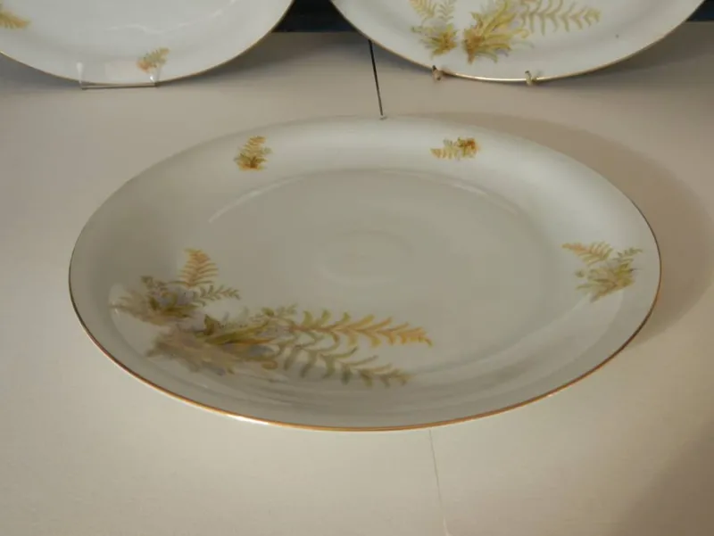 New Pamono BAVARIA Tirschenreuth Dinner Plate and Tureen Set, 1970s, Set of 6