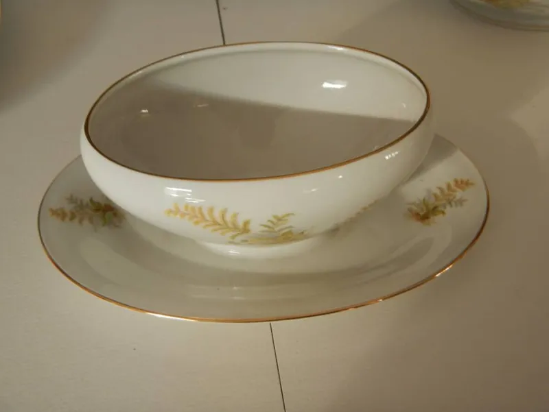 New Pamono BAVARIA Tirschenreuth Dinner Plate and Tureen Set, 1970s, Set of 6