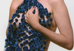 Pamono Bert stern 