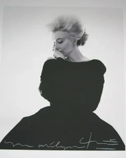 Pamono Bert stern 