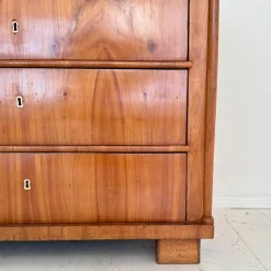 Best Pamono Biedermeier Chest of Drawers in Cherrywood with Columns, 1820s