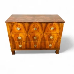 New Pamono Biedermeier Chest of Drawers, Germany, 1820s