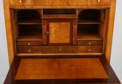 Pamono Biedermeier Secretary in Pearwood, Braunschweig, Germany, 1820s><noscript><img width=