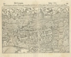 Outlet Pamono Bird's Eye View Woodcut Map of Rouffach, France, by Sebastian Münster, 1554