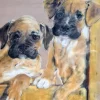 Best Pamono Boxer Puppies, Pastel on Paper, 1980s