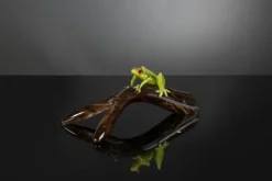 Pamono Branch with Frog Sculpture from VGnewtrend><noscript><img width=