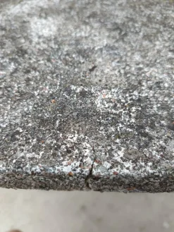 Pamono Brutalist Tree Trunk Concrete Garden Table, 1950s