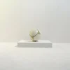 Clearance Pamono Bubble Tavolo Floor Lamp by Valerio Bottin for Foscarini, 1990s