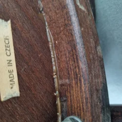 Pamono Captains Desk Chair by Michael Thonet for Ligna, 1950s><noscript><img width=
