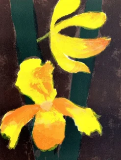 Pamono Cathelin, Orchids, Original Lithograph> Prints & Multiples