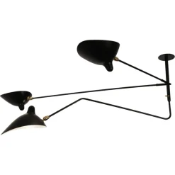Hot Pamono Ceiling Lamp with 2 Still Arms and 1 Rotating Curved by Serge Mouille