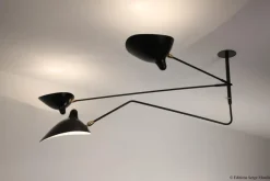 Hot Pamono Ceiling Lamp with 2 Still Arms and 1 Rotating Curved by Serge Mouille