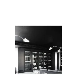 New Pamono Ceiling Lamp with Three Rotating Arms by Serge Mouille