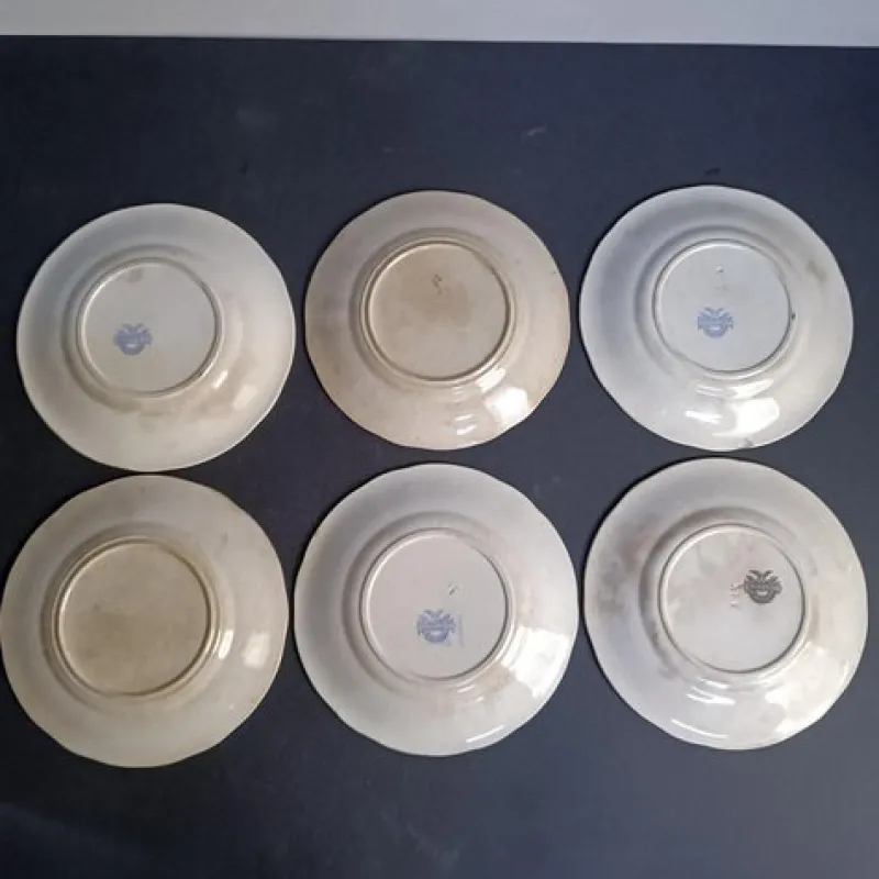 Outlet Pamono Ceramic Plates from Villeroy and Boch Wallerfangen, Set of 6