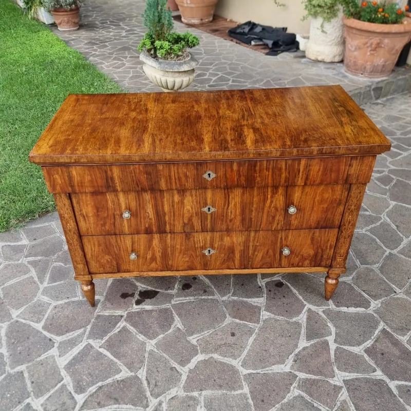 Pamono Charles X Faenza Walnut Chest of Drawers, 1810> Dressers, Commodes & Chests