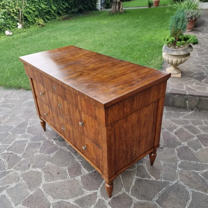 Pamono Charles X Faenza Walnut Chest of Drawers, 1810> Dressers, Commodes & Chests