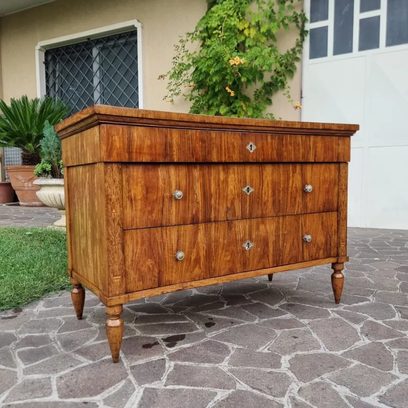 Pamono Charles X Faenza Walnut Chest of Drawers, 1810> Dressers, Commodes & Chests