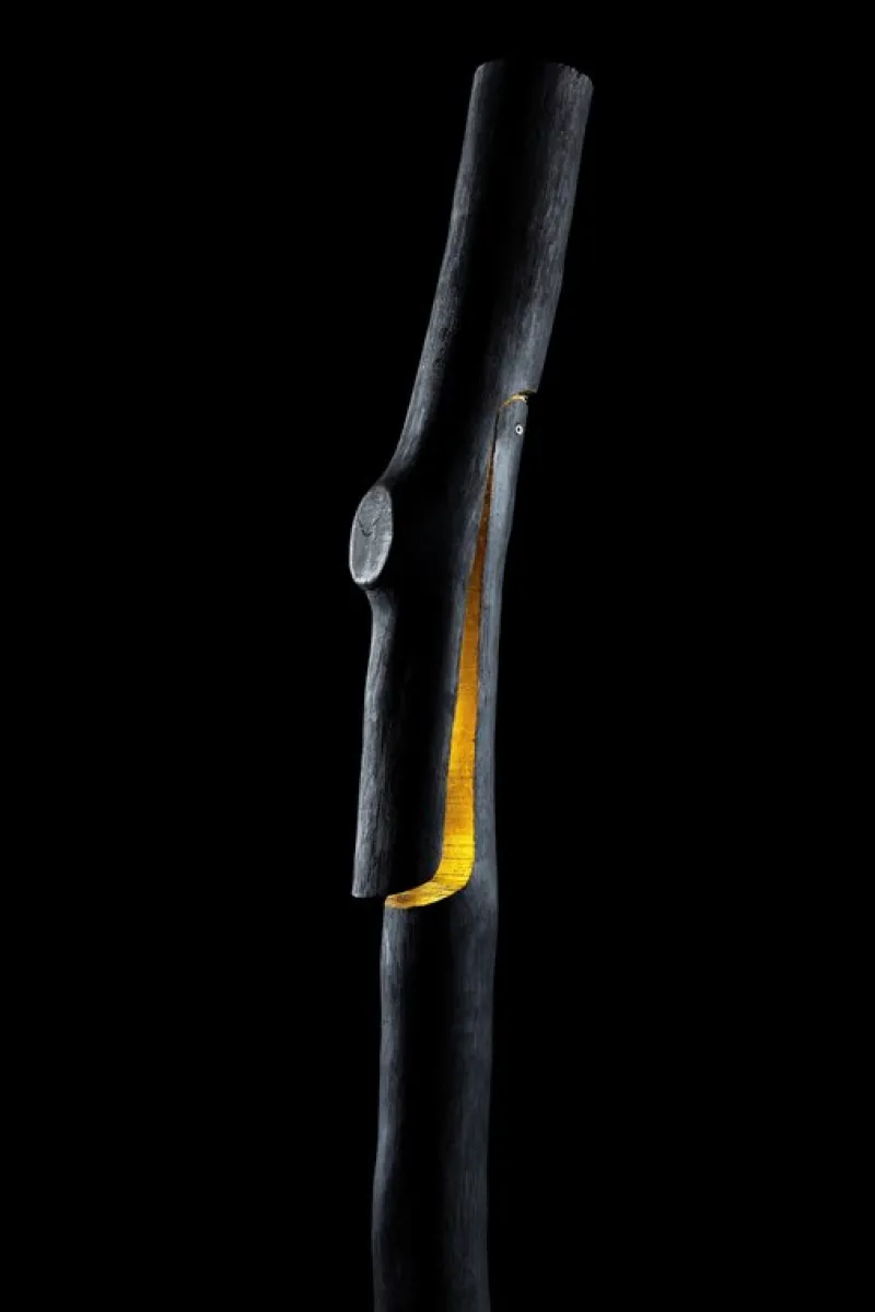 Pamono Charred & Gold Snappy Tree Friend Floor Light by Marco Iannicelli> Floor Lamps