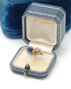 Online Pamono Citrine and Sapphire Toi Moi Ring