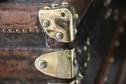 Discount Pamono Courier Trunk from Goyard, 1920s