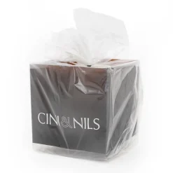 New Pamono Cubo Portavaso Planter Cube by Studio OPI for Cini & Nils, 1970s