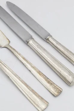 Pamono Cutlery by Gio Ponti for Krupp, Milan, 1950s, Set of 48><noscript><img width=
