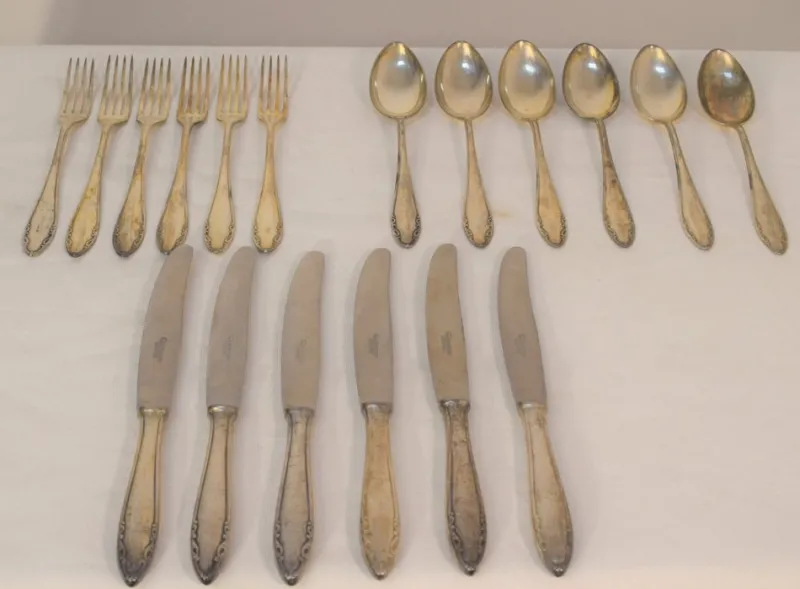 Pamono Cutlery Service for Six People from Krupp Berndorf, 1950s, Set of 18> Dinnerware Accessories