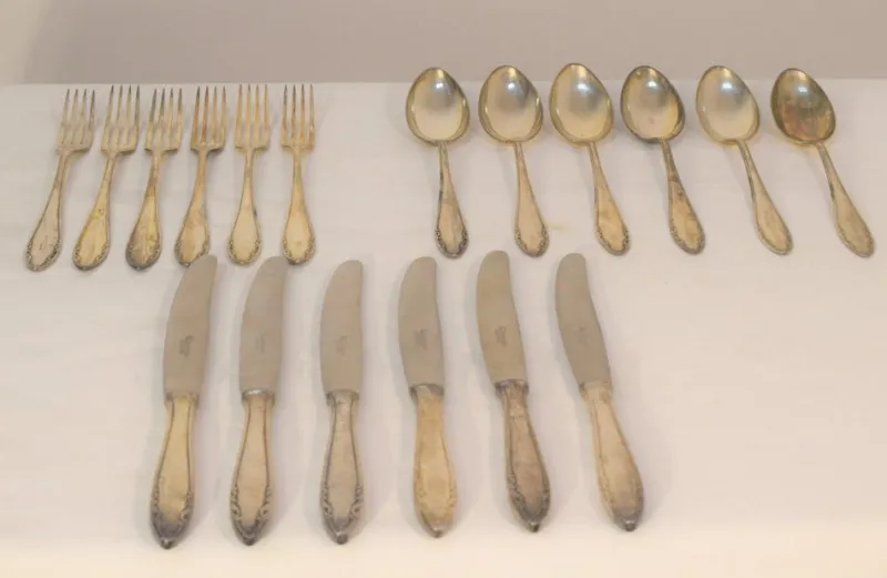 Pamono Cutlery Service for Six People from Krupp Berndorf, 1950s, Set of 18> Dinnerware Accessories