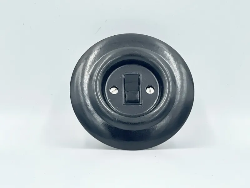 New Pamono Czech Bakelite Light Switch, 1920s