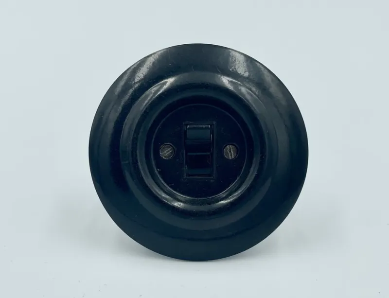 New Pamono Czech Bakelite Light Switch, 1920s