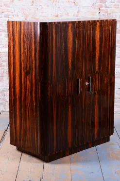 Online Pamono Czech Bauhaus Wardrobe in Maple and Macassar Ebony, 1920s