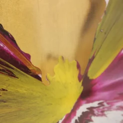Pamono Damien Hirst, Butterfly Spin Painting, 2009, Acrylic & Gold Leaf