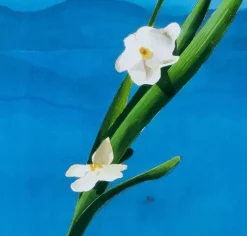 Pamono David Hockney Mount Fuji and Flowers Poster><noscript><img width=